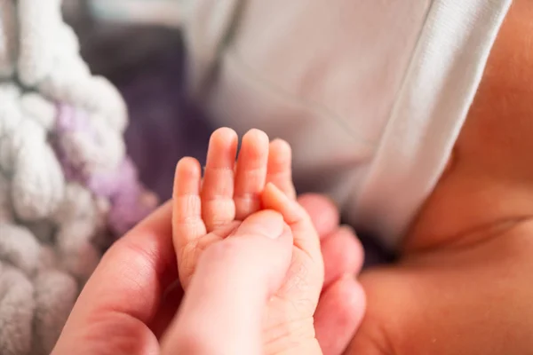 Mamá Sostiene Palma Del Recién Nacido Dedos Niño Mamá Golpes — Foto de Stock