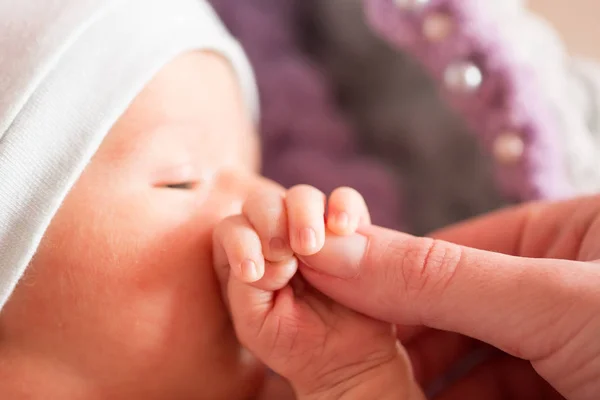 Recién Nacido Sostiene Madre Por Dedo Puño Niño Pequeño Palma — Foto de Stock