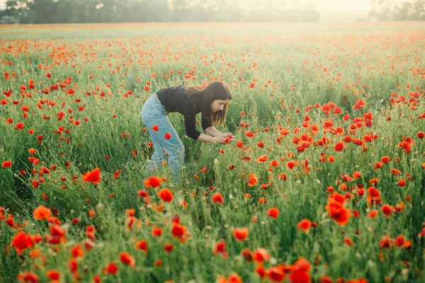 Young Girl Collects Bouquet Poppies Field Spring Evening Village Copy — Stock Photo, Image