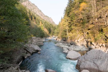 Dağ nehir. Temiz temiz nehir dağlık. Sonbahar manzara