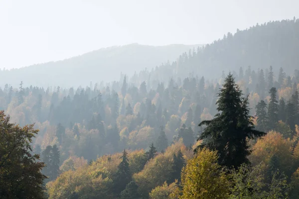 Pierwsze Promienie Słońca Świt Górach Jesienny Krajobraz Żółte Drzewa Defoliacji — Zdjęcie stockowe