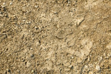 arka plan bir taş dokudur. Bej eski duvar