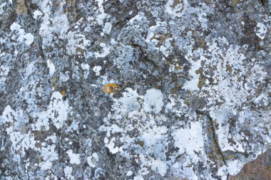 Büyük çatlaklar ve çizikler ile soğuk taş. Konsept Tasarım Arka Planı