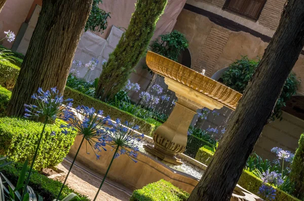 Giardini Dell Alhambra Fontane Con Fiori Sole Estate — Foto Stock