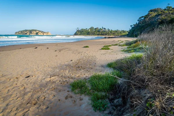 Rosedale Pláž Při Západu Slunce Létě New South Wales Austrálie — Stock fotografie