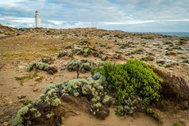 Cape Nelson State park Portland Avustralya'da yakın