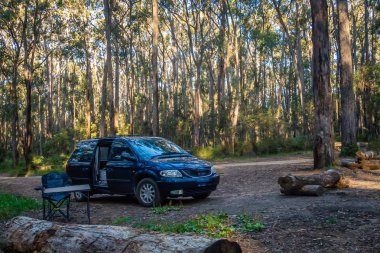 Avustralya Bunyip state Park ormanda kamp