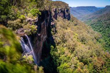 Fitzroy Falls'ta New South Wales, Avustralya