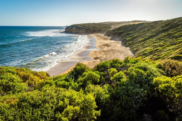 Sıcak güneşli bir yaz aylarında Bells Beach görünümü