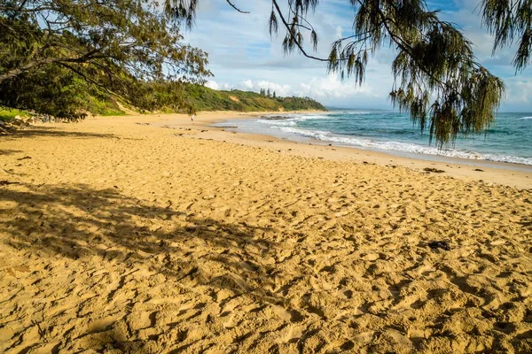 Shelly Beach Nambucca Heads Austrálii Východu Slunce — Stock fotografie