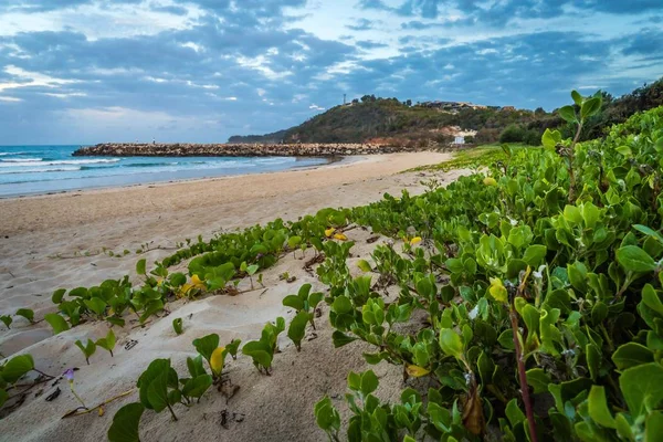 Evans Head Beach Létě New South Wales Austrálie — Stock fotografie