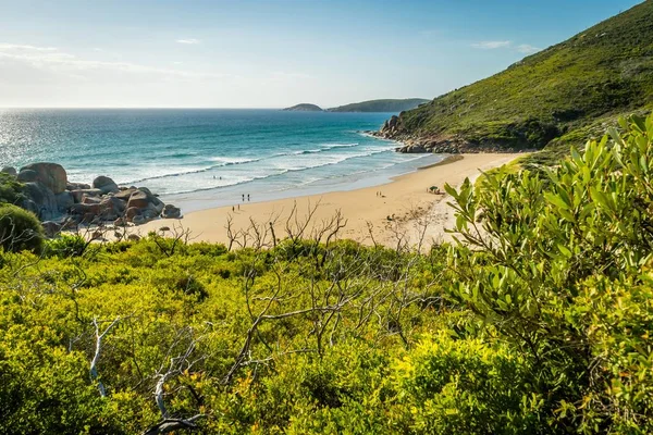 Whisky Bay Beach Ocean Wilsons Hegyfok Nemzeti Park — Stock Fotó