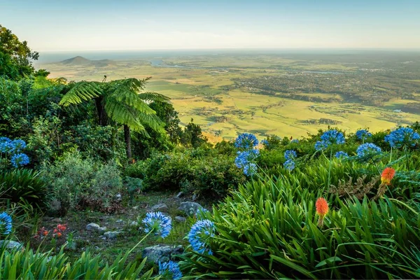 Mirador Cambewarra Con Bahía Berrys Río Shoalhaven Fondo — Foto de Stock