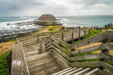 Phillip Island yaz aylarında nobbies merkezinde turist