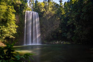 Millaa Milla Falls Queensland, Avustralya, yaz aylarında uzun pozlama