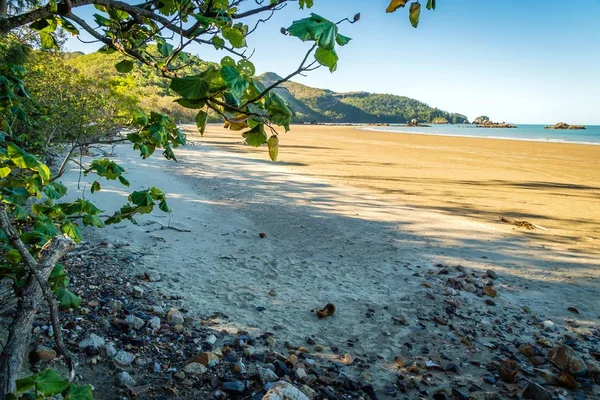 Plage Dans Parc National Cap Hillsborough Queensland Australie — Photo