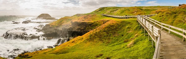 Yaz aylarında Phillips adada Nobbies merkezi Panoraması