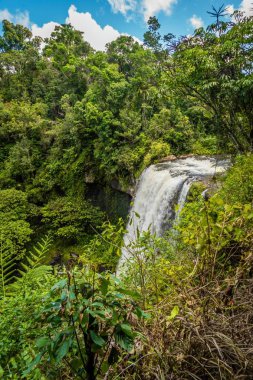 Zillie Queensland, Avustralya yaz aylarında düşer