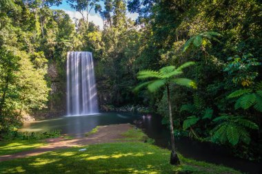 Millaa Milla Falls Queensland, Avustralya, yaz aylarında uzun pozlama