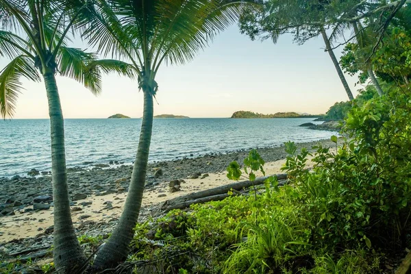 Jungleand Oceaan Mission Beach Queensland Australië — Stockfoto