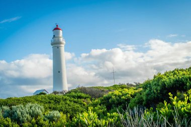 Cape Nelson deniz feneri Victoria, Avustralya, yaz aylarında