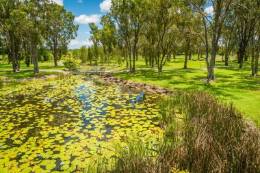 Yaz aylarında Tyto Nehri ve sulak alanlar, Queensland