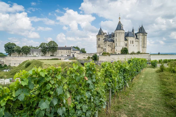 Castillo Saumur Con Viñedos Frente Uvas — Foto de Stock