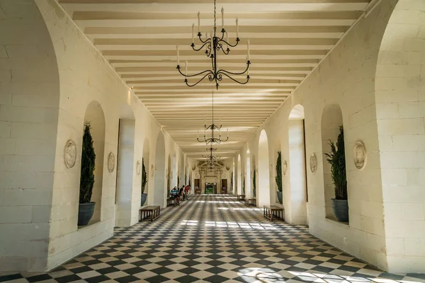 Galerie Chenonceau Construite Sur Pont Dessus Eau — Photo