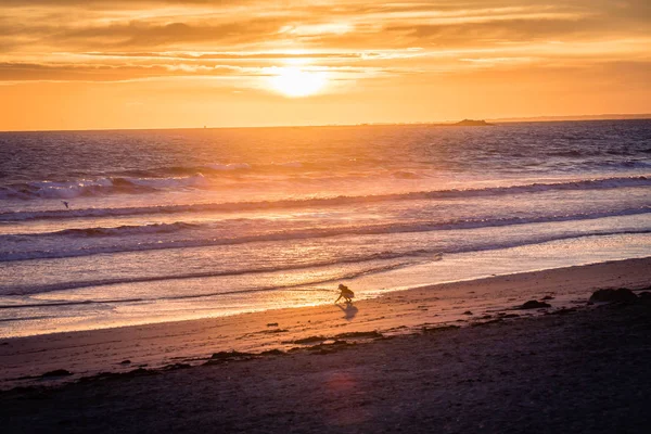 Dítě klidně hraje v západu slunce světlo na oceán — Stock fotografie