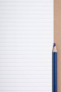 mavi kalem kayda göre