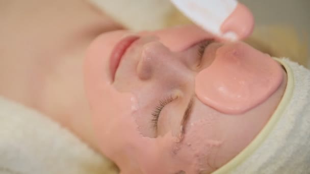 Mulher está tendo tratamento cosmético no salão de spa. Cosmetologist aplicando máscara facial no rosto da jovem mulher no salão de spa — Vídeo de Stock