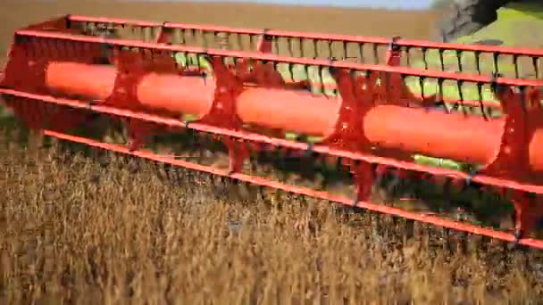 Erntemaschine bei der Feldarbeit. Mähdrescher, Landmaschinen, die goldene Sojabohnen ernten — Stockvideo