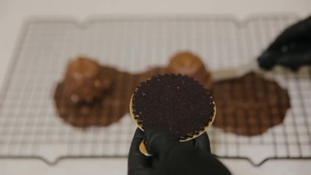 A cukrász desszertet készít olvasztott csokoládéval és apróra vágott mogyoróval. Torta dekoráció csokoládé cukormázzal. Cukrászati koncepció — Stock videók