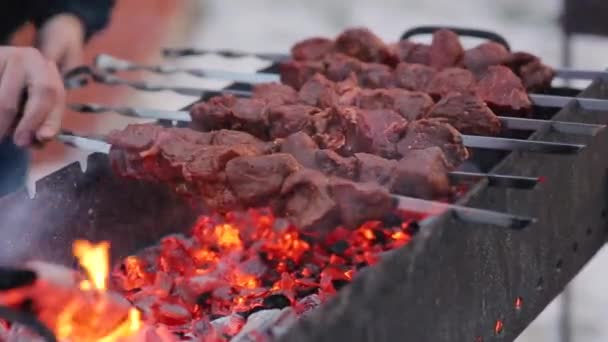 A mans mains tournant les brochettes. Shish Kebab. Morceaux de viande de porc ou d'agneau frits sur un gril au charbon de bois. Friture de morceaux de viande grillés à l'extérieur en hiver — Video