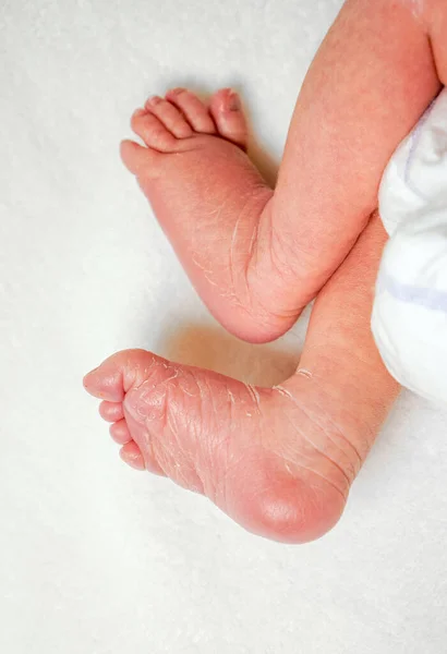 Две маленькие новорожденные ноги на белом ковре — стоковое фото
