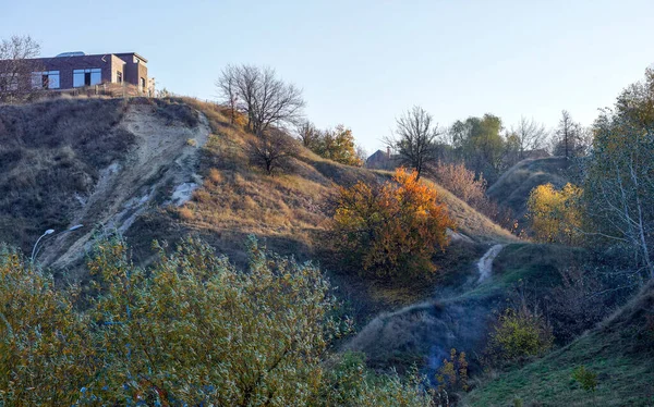 Bir evin yakınında bir sürü güneşli ağaç var.
