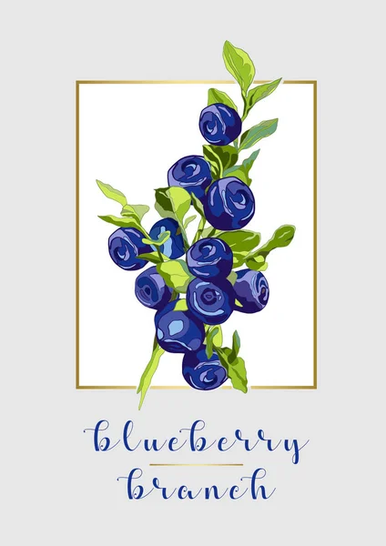 Blueberry Gren Mogna Bär Med Blad — Stock vektor