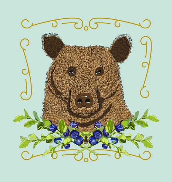 Medvěd Hnědý Borůvkovým Větve — Stockový vektor
