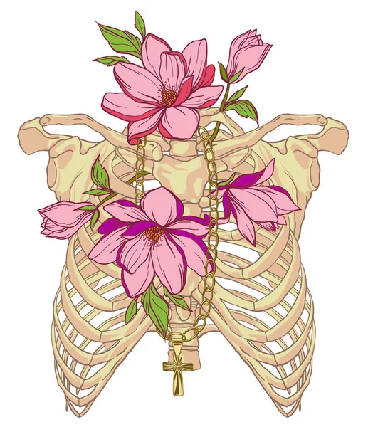 マグノリアと人間の肋骨のケージのイラスト — ストックベクタ