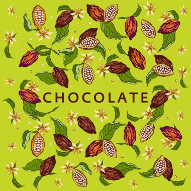 Çikolatalı kakao çekirdeği ve dal.