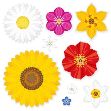 Illustration with flowers in flat style isolated on white background clipart