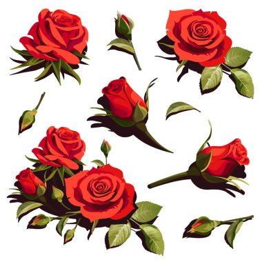 Beyaz Arkaplanda Kırmızı Güllerle İllüzyon. Pozitif Bahar Resimleri.