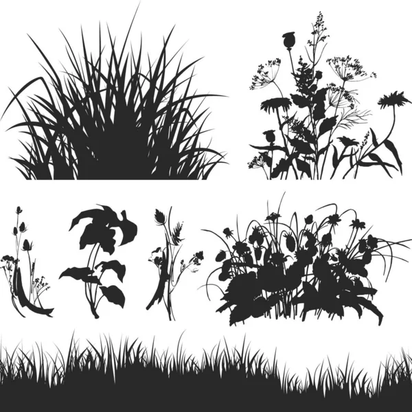 Illustration Avec Herbe Isolé Sur Fond Blanc — Image vectorielle