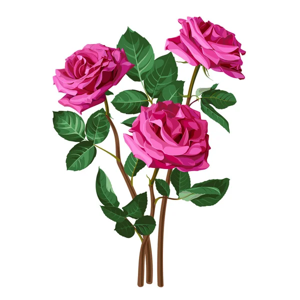 Rosas Cor Rosa Num Fundo Branco Ilustração Positiva Mola Com — Vetor de Stock