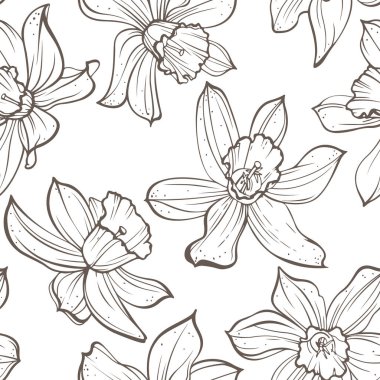 Beyaz arka planda kusursuz çiçek deseni var. El çizimi çiçekler - Nergis çiçeği.