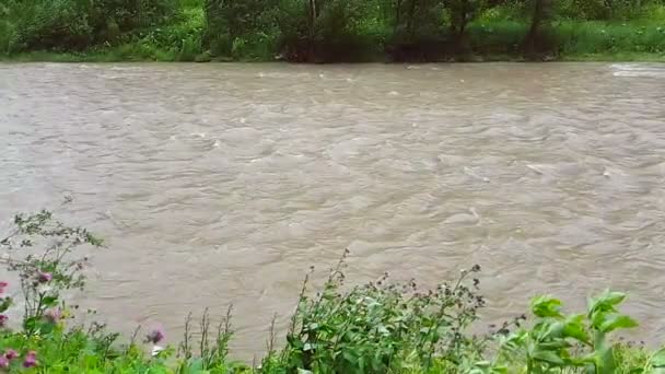 Zeitlupe eines schnellen Gebirgsflusses. 240fps. Bei Regenwetter ist das Wasser im Fluss braun und bewegt sich schnell. Hintergrund oder Textur — Stockvideo