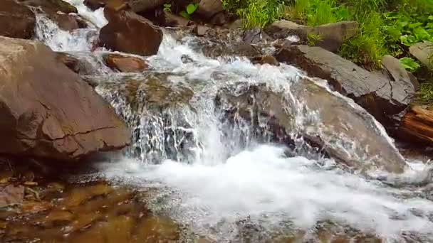 Slow motion på ett litet berg vattenfall. 240 fps. fjällbäcken som faller på stenar i en botten. — Stockvideo