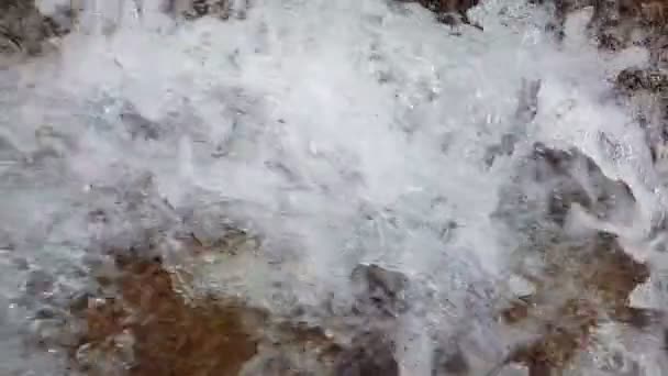 Achtergrond of textuur. Slow motion van een kleine berg waterval. 240 fps. de bergbeek naar beneden valt op stenen in een bodem. — Stockvideo