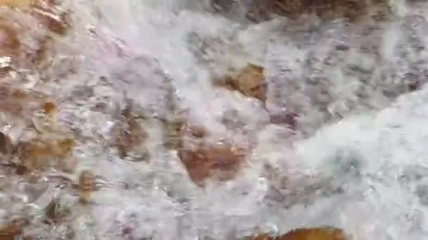 Achtergrond of textuur. Slow motion van een kleine berg waterval. 240 fps. de bergbeek naar beneden valt op stenen in een bodem. — Stockvideo
