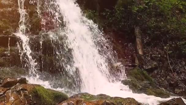Rallentatore di una piccola cascata di montagna. 240 fps. Il torrente di montagna cade su pietre in un fondo . — Video Stock
